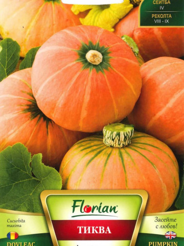 Dovleac AMAZONKA - 2 gr - Seminte de Dovleac potrivit pentru cultivarea in gradini mici