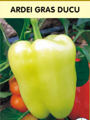 Ducu (50 gr) Seminte Ardei Gras DUCU Soi Semitimpuriu de la Mefim Agro