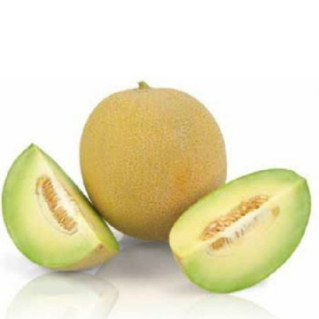 Exelor F1 - 1000 sem - Seminte de pepene galben tip Galia foarte productiv remarcabil prin uniformitate si savoarea pulpei rezistent la transport si ofera producatorilor 100% fructe calitatea 1 de la Sakata