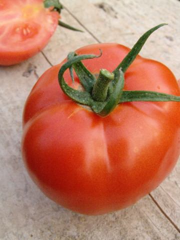 Fantom F1 (1 gr) seminte tomate nedeterminate semitimpurii, Superior Seeds Serbia