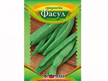 Fasole Pastai Pitica Gina (80 gr) Seminte de Fasole Pastai Pitica Neteda si verde