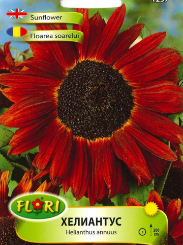 Floarea Soarelui Rosu - Seminte Flori Floarea Soarelui Rosu de la Florian