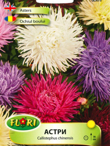 Ochiul Boului Mix Regal - Seminte Flori Ochiul Boului de la Florian