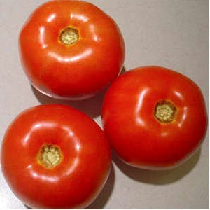 Primadona F1 (100 seminte) Tomate Nedeterminate, Hazera