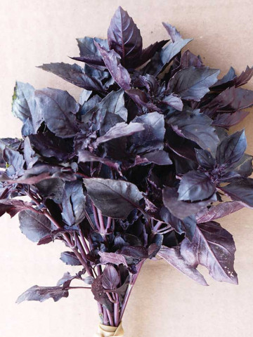 Red Rubin (100 grame) seminte busuioc rosu alimentar, Profit Seeds