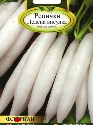 Ridichi de luna LEDENA VISULKA - 5 gr - Seminte de Ridichi Albe Lungi