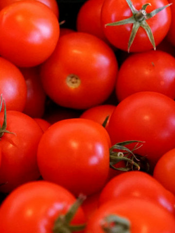 Rosii Red Cherry, (100 seminte) tomate cherry rosii soi timpuriu, crestere nedeterminata, Agrosem