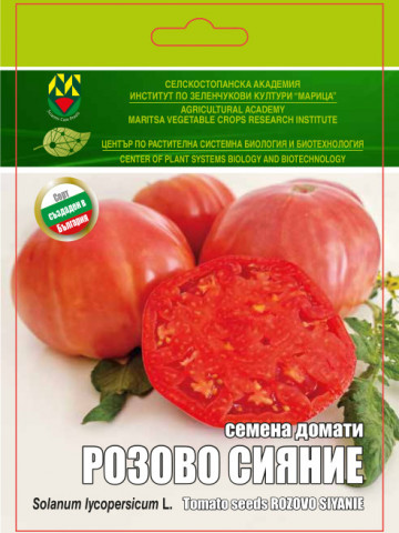 Roza Aurora (150 seminte) de rosii roz mari tip grasa gigant gust clasic, IZK Maritsa