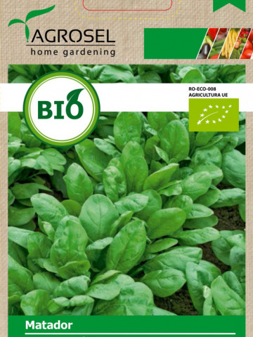 Seminte BIO spanac Matador (400 seminte) de spanac ECO certificate ecologic, Agrosel