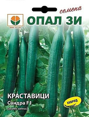 Seminte castraveti lungi Avangard F1 (25 seminte), randament ridicat, gust excelent, Opal