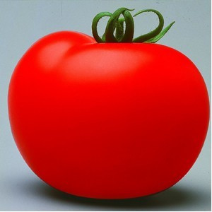 Seminte rosii Cristal F1 (5 gr), nedeterminate semitimpurii pentru sere si solarii, Clause