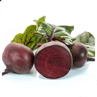 Seminte sfecla rosie Orell F1 (250.000 seminte), hibrid imbunatatit, agroTIP