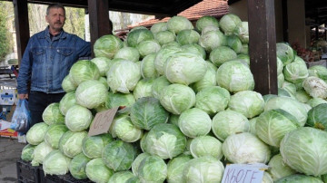 Seminte varza de toamna Kyose (1 kg) soi de varza tardiv foarte productiv, Florian