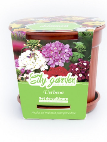 Set de cultivare Flori - Verbena Nana mixt, Colectia City Garden