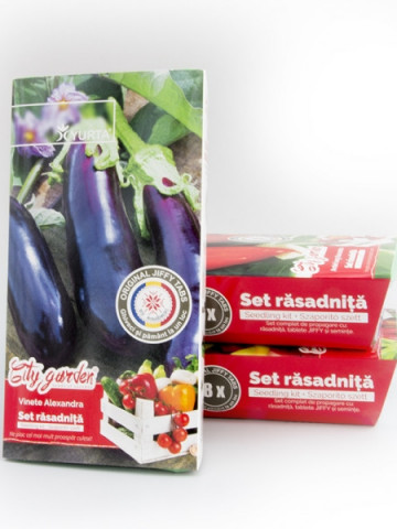 Set răsadniță medie - Vinete Alexandra, Colectia City Garden