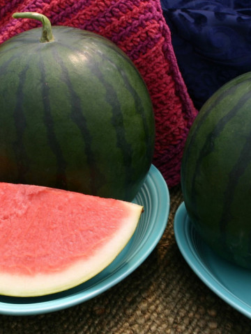 Sorbet F1 (100 seminte) pepene verde, fara seminte, Profit Seeds