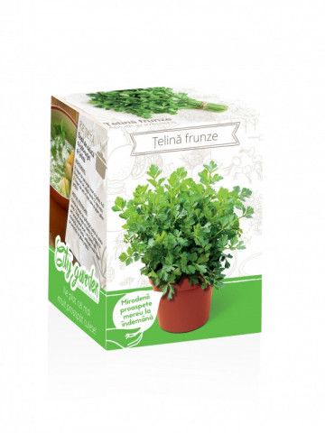 Telina frunze - Kit plante aromatice