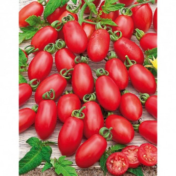 Trilly F1 (100 seminte) de rosii tip cherry, ISI Sementi