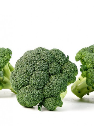 Triton F1 (1000 seminte) de broccoli cu plante viguroase si aparat foliar puternic ce prezinta o foarte buna capacitate de adaptare la diferite conditii de cultura, Sakata