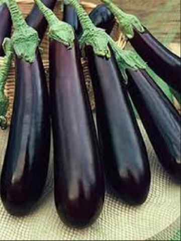 Vinete Long Purple (1 kg), seminte de vinete soi timpuriu, culoare violet inchis, Agrosem
