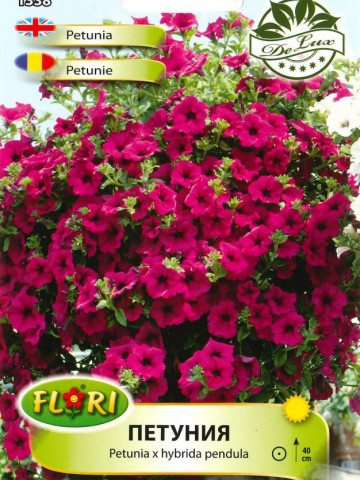 Petunie curgatoare cascada (Pendula Rubuna Hybrida) 80 seminte flori petunia cascada