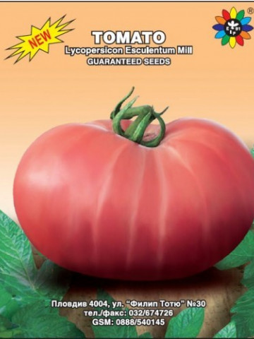 Amurg (150 seminte) tomate de culoare roz-violet, semitimpurii tip gigant tip Beef, Biosem