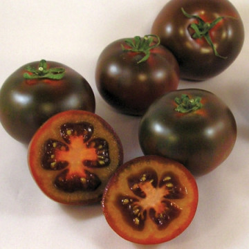 Bombonera F1 (5 seminte) rosii tip Kumato negre-ciocolatii, tomate exotice, Seklos