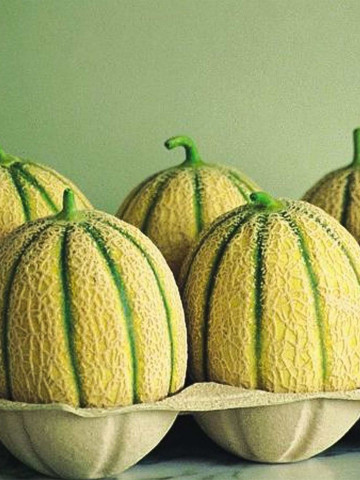 Centro F1 (250 seminte) de pepene galben tip Cantalup, De Ruiter Seeds