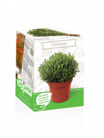 Cimbrisor - Kit plante aromatice