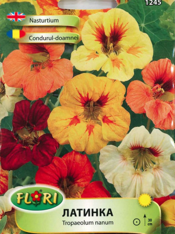 Condurul Doamnei 2 - Seminte Flori Condurul Doamnei de la Florian
