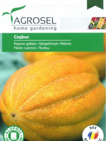 Cosbuc Seminte Pepene galben (2000 seminte), tip Cantaloup, Agrosel