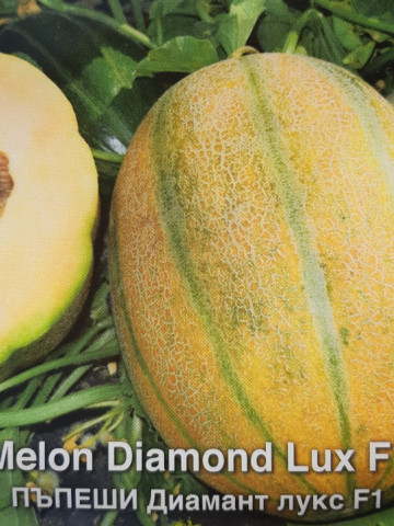 Diamant Lux F1 (250 seminte) pepene galben extratimpuriu bulgaresc, Opal