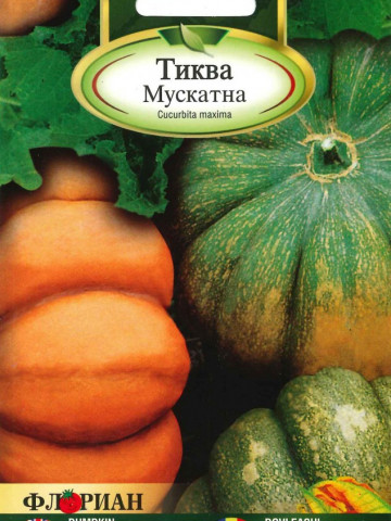 Dovleac DE MUSKAT - 100 gr - Seminte de dovleac Florian Bulgaria