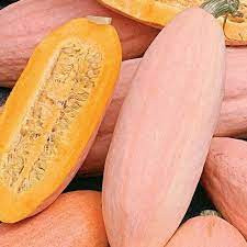 Dovleac Pink Banana Jumbo (6 seminte) dovleac de copt soi rar, forma de banana, culoare roz, foarte dulce, Agrosem