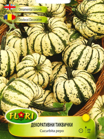 Dovlecei Decorativi Tartacute 3 - 15 sem - Amestec de dovlecei decorativi de diferite forme si culori