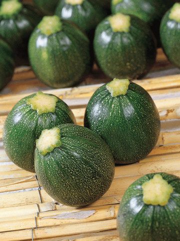 Eight Ball F1 (100 seminte) zucchini rotund, Profit Seeds