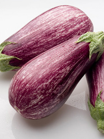 Esmeralda F1 (250 seminte) vinete cu plante deschise, vigoare medie, fructe semilungi, foarte consistente, de culoare violet intens cu alb ivoar, Fito Semillas
