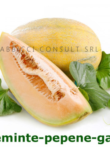 Kehlibar F1 (100 gr) seminte de pepene galben, bulgaresti profesionale, Agrotop Bulgaria