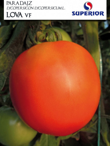 Lova – 10 gr – Seminte de Tomate Timpurii de Camp de la Superior Seeds Serbia