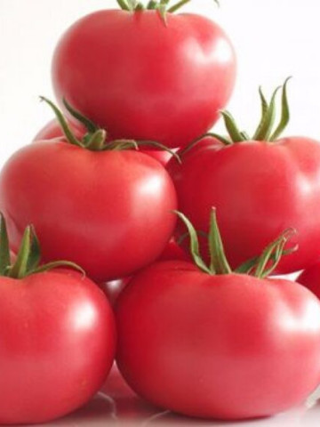 Manistella F1 (500 seminte) tomate de culoare roz, nedeterminate, rezistenta la crapare, Hazera
