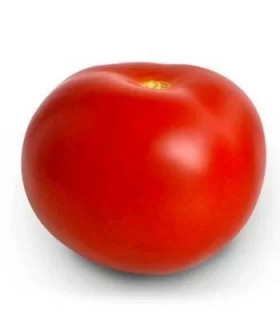Mobil (300 seminte) de tomate semitimpurii soi profesional de fructe sferice, aplatizate, ZKI