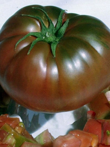 Negre de Crimeea (Black Krim) – 0.5 gr - Seminte Tomate Negre cu Crestere Nedeterminata Black Krim Negre de Crimeea Extratimpurii de la Opal