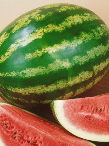 Obla F1 - 500 sem - Seminte de pepene verde foarte apreciat pe piata productiv si uniform cu fructe de 11-12 kg forma ovala pulpa dulce rezistent la decolorarea exterioara a fructului de la Esasem