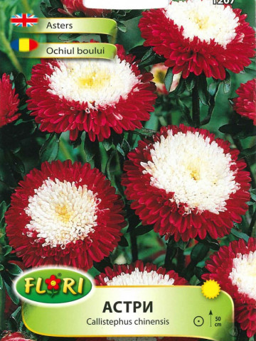 Ochiul Boului Rosu cu Alb - Seminte Flori Ochiul Boului de la Florian