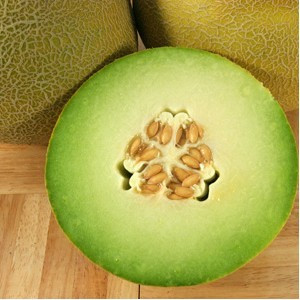 Passport F1 – 1000 sem – Seminte Pepene Galben Extratimpuriu de tip Galia de la Hollar Seeds USA