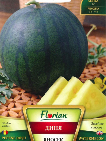 Pepene Verde Janosik - 2 gr - Seminte de Pepene Verde cu Miez Galben Soi Polonez de la Florian
