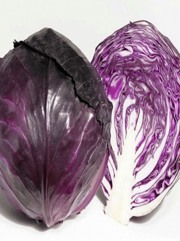Pretino F1 (2500 seminte) de varza rosie cu buna rezistenta la boli si capatana rotunda ferma ce are rezultate bune in culturile timpurii, Takii Seeds