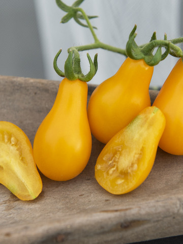Rosii Yellow Pearshaped Snack (150 seminte), de rosii timpurii galbene cu fructe mici pentru salata, tip para, Agrosel