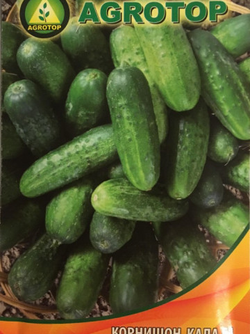 Seminte castraveti cornison Kala F1 (5 gr), extratimpurii, productivitate foarte mare, pentru sere si solarii, Agrotop Bulgaria
