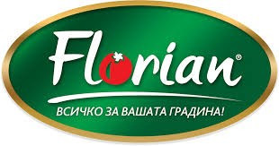 Seminte castraveti Tangra F1 (20 seminte), hibrid timpuriu partenocarpic pentru sere si solarii, Florian